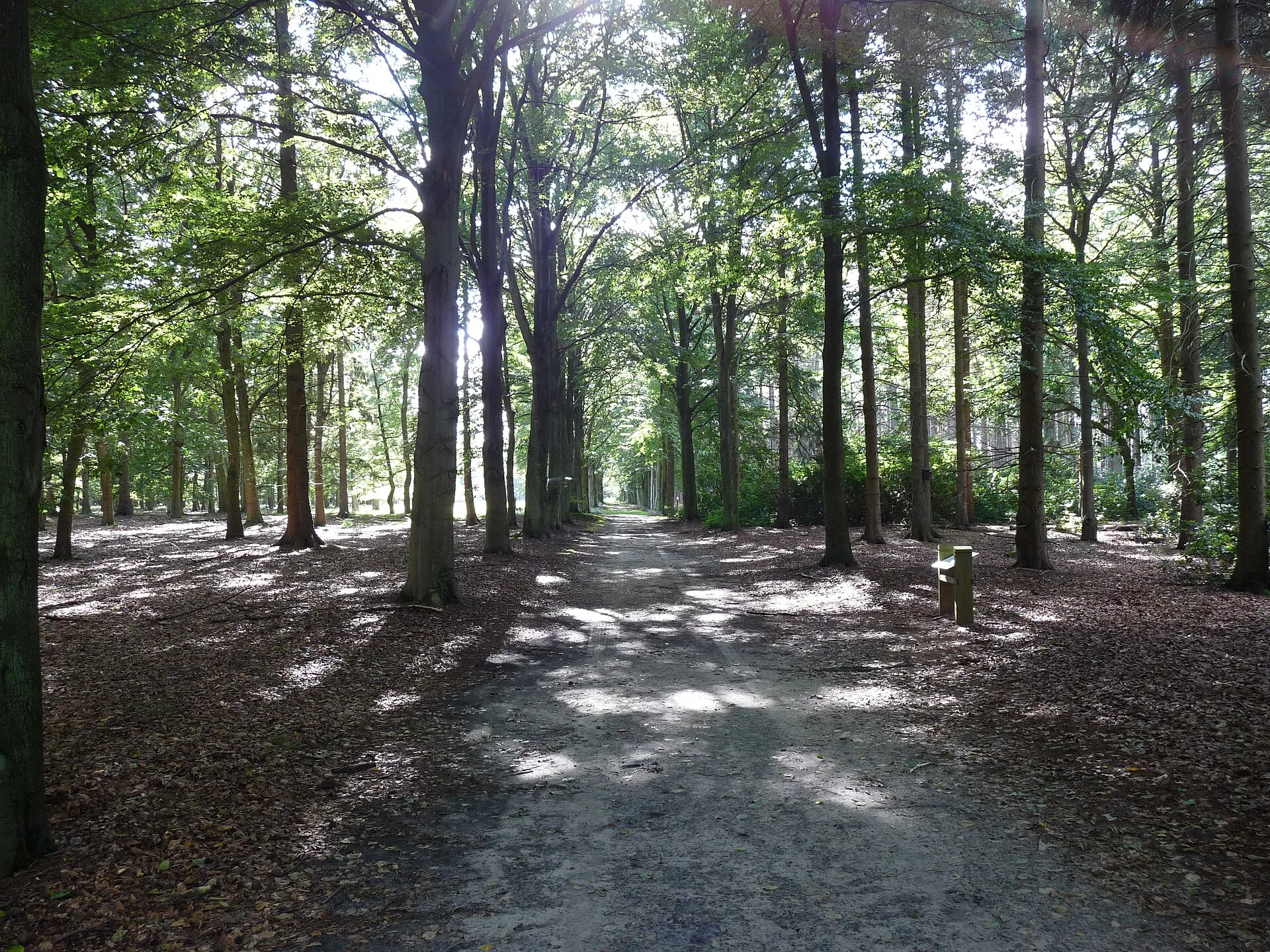 Kapellen - stadsgezicht